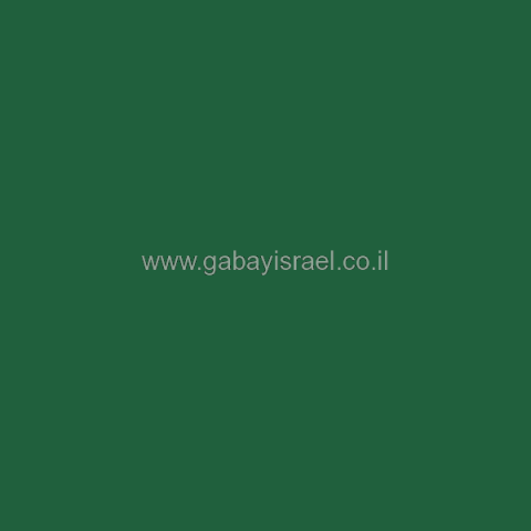 ירוק RAL 6029 - אפוקסי 