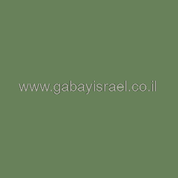 ירוק עתיק RAL 6011 - אפוקסי 